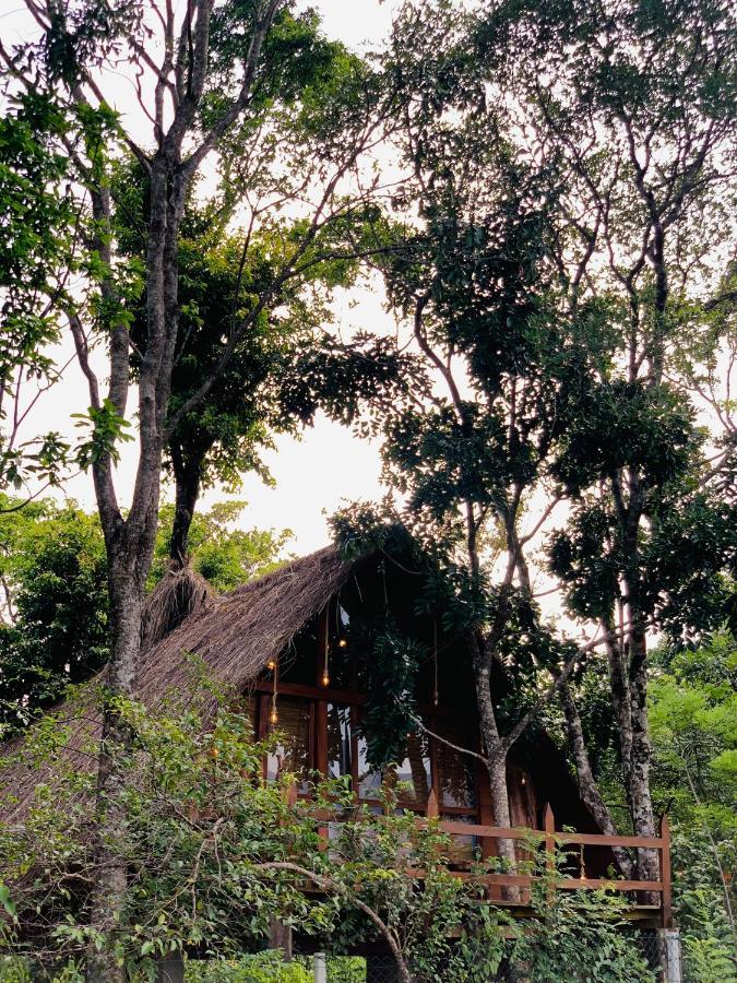 Kale Cottage בלהולויה מראה חיצוני תמונה